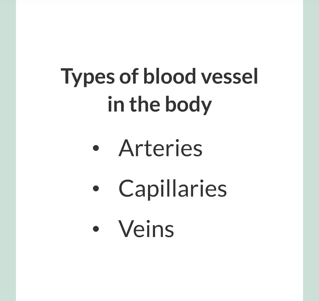 ../../../Biology/Biology Flashcards/0610 MC Questions from Key Cards/2 - Organization/6 - Blood Vessels and Blood/02.png