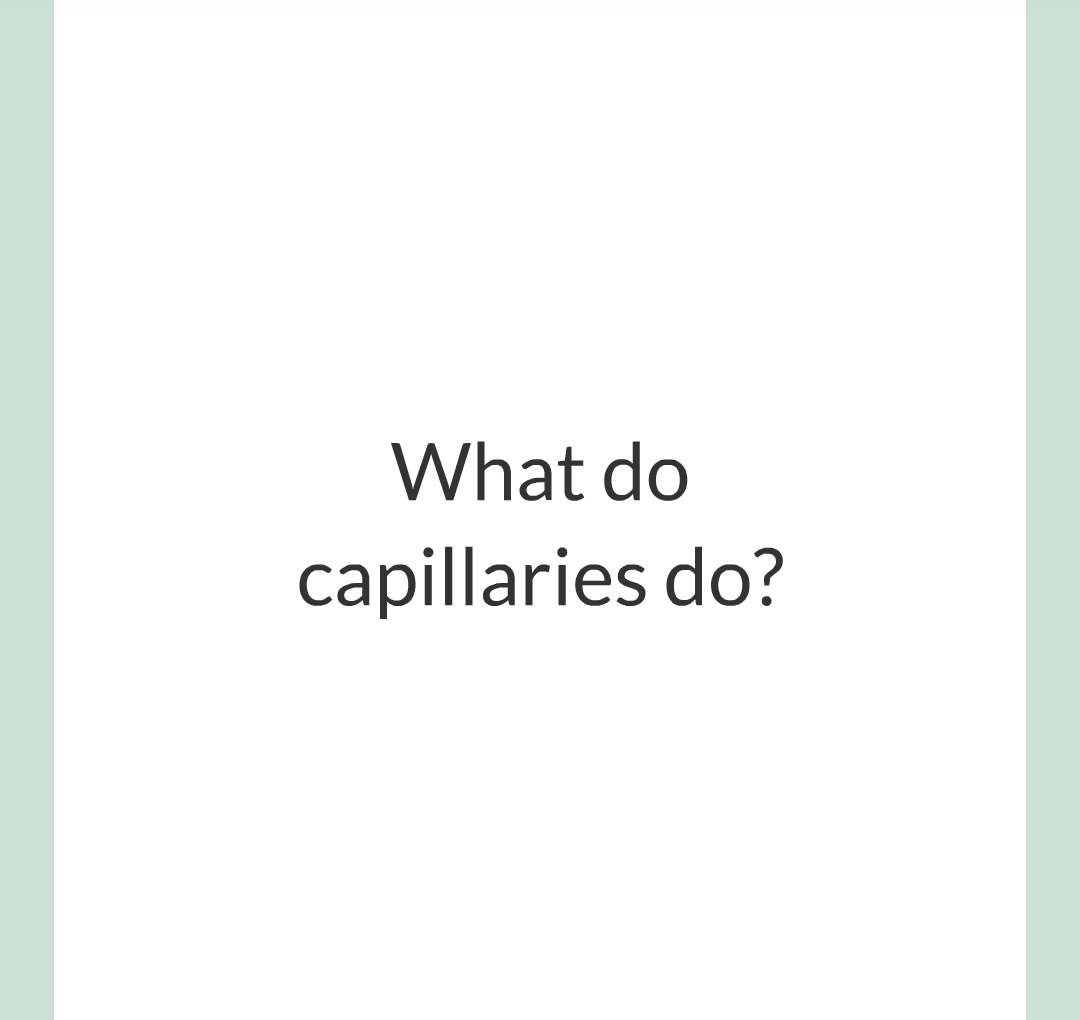../../../Biology/Biology Flashcards/0610 MC Questions from Key Cards/2 - Organization/6 - Blood Vessels and Blood/07.png