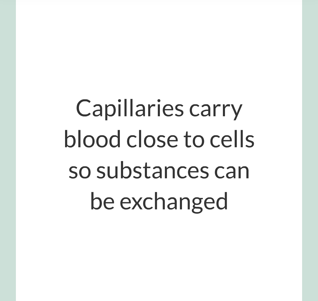 ../../../Biology/Biology Flashcards/0610 MC Questions from Key Cards/2 - Organization/6 - Blood Vessels and Blood/08.png