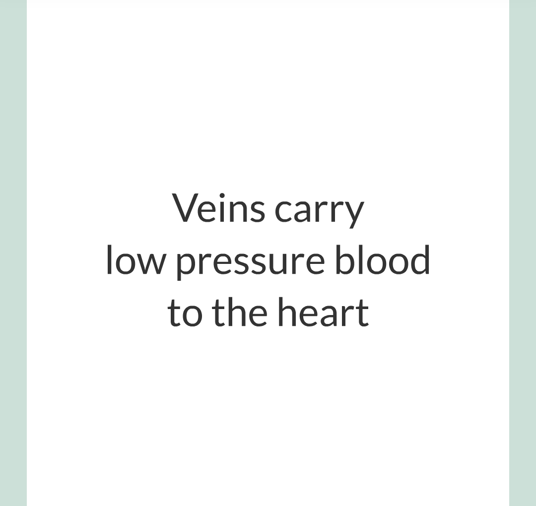 ../../../Biology/Biology Flashcards/0610 MC Questions from Key Cards/2 - Organization/6 - Blood Vessels and Blood/12.png