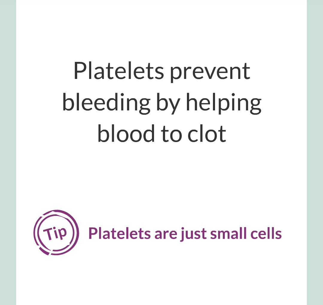 ../../../Biology/Biology Flashcards/0610 MC Questions from Key Cards/2 - Organization/6 - Blood Vessels and Blood/24.png