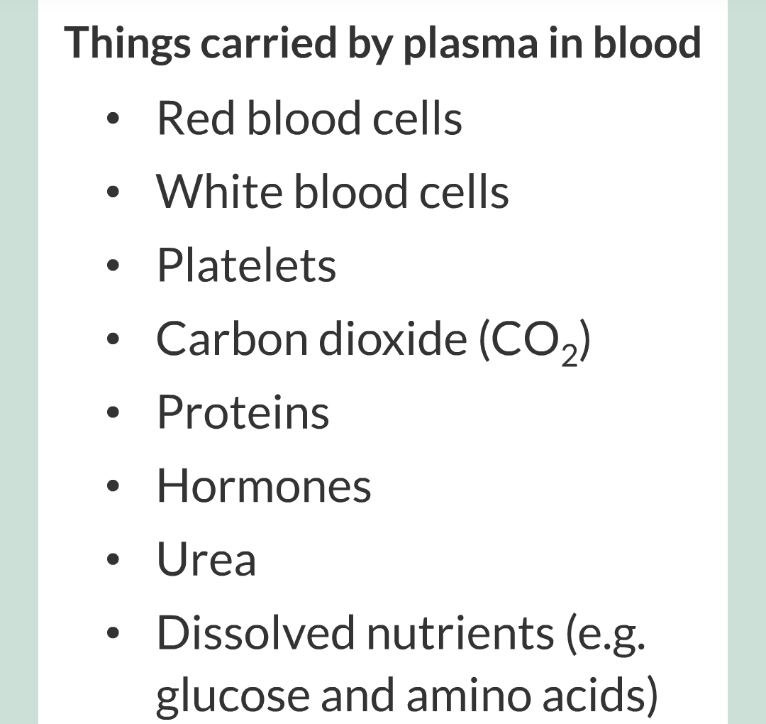 ../../../Biology/Biology Flashcards/0610 MC Questions from Key Cards/2 - Organization/6 - Blood Vessels and Blood/28.png