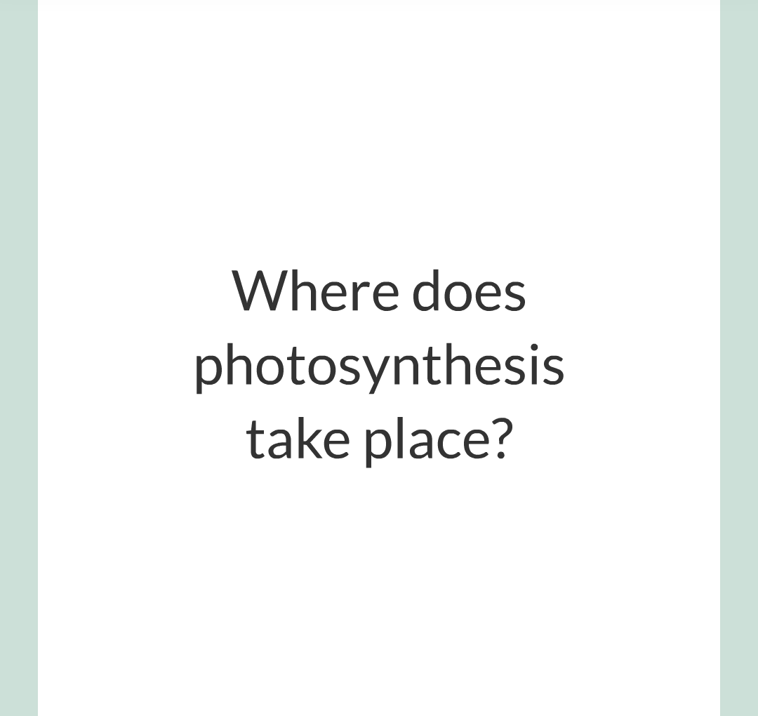 ../../../Biology/Biology Flashcards/0610 MC Questions from Key Cards/3 - Bioenergetics/1 - Photosynthesis/003.png