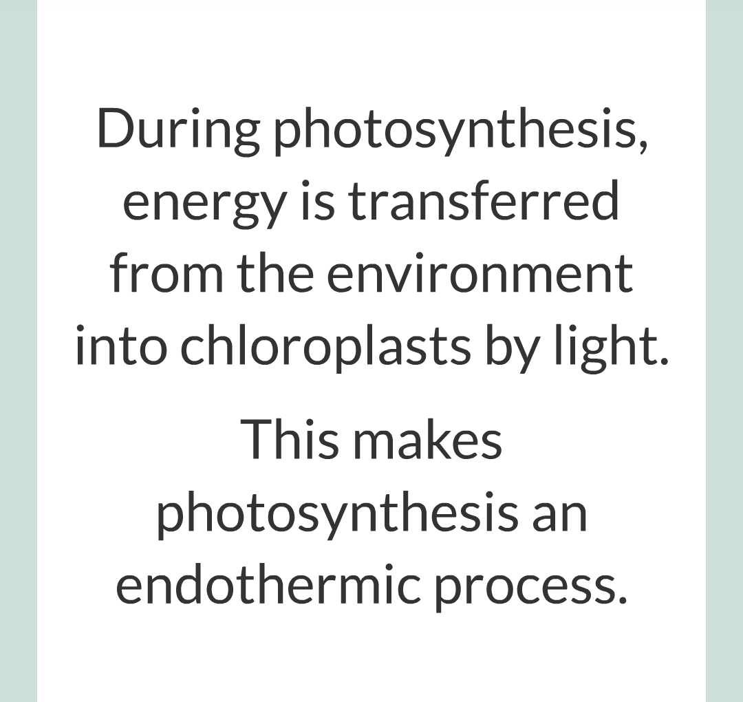 ../../../Biology/Biology Flashcards/0610 MC Questions from Key Cards/3 - Bioenergetics/1 - Photosynthesis/006.png