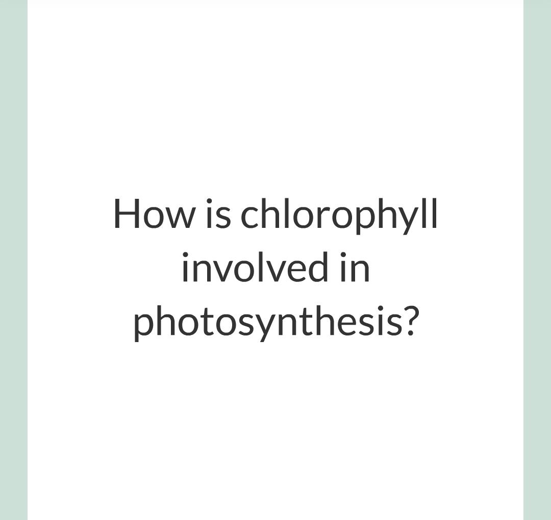 ../../../Biology/Biology Flashcards/0610 MC Questions from Key Cards/3 - Bioenergetics/1 - Photosynthesis/011.png