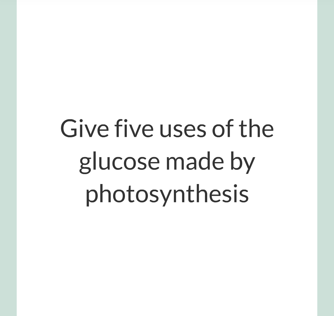 ../../../Biology/Biology Flashcards/0610 MC Questions from Key Cards/3 - Bioenergetics/1 - Photosynthesis/013.png