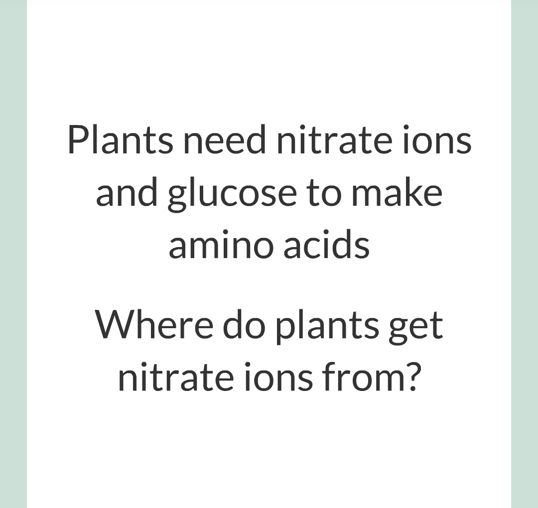 ../../../Biology/Biology Flashcards/0610 MC Questions from Key Cards/3 - Bioenergetics/1 - Photosynthesis/015.png
