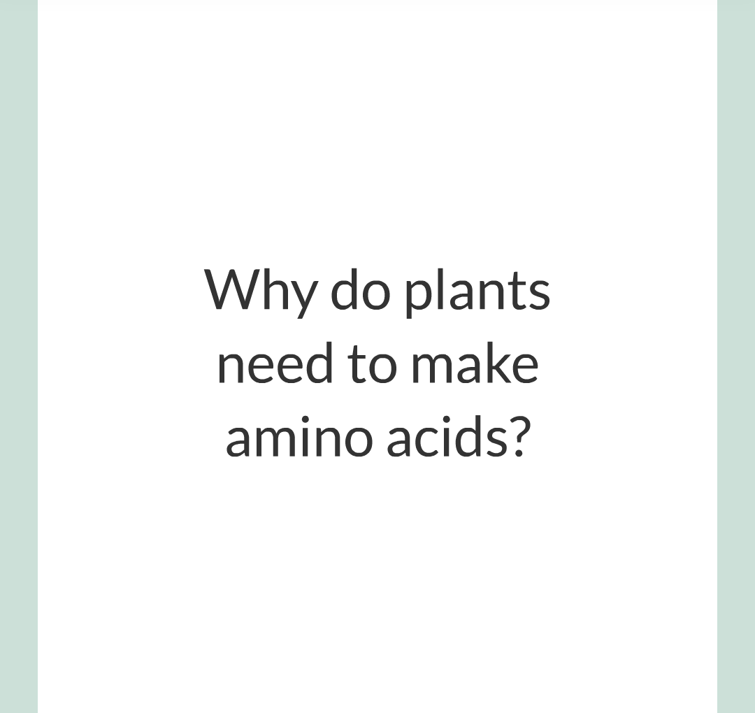 ../../../Biology/Biology Flashcards/0610 MC Questions from Key Cards/3 - Bioenergetics/1 - Photosynthesis/017.png