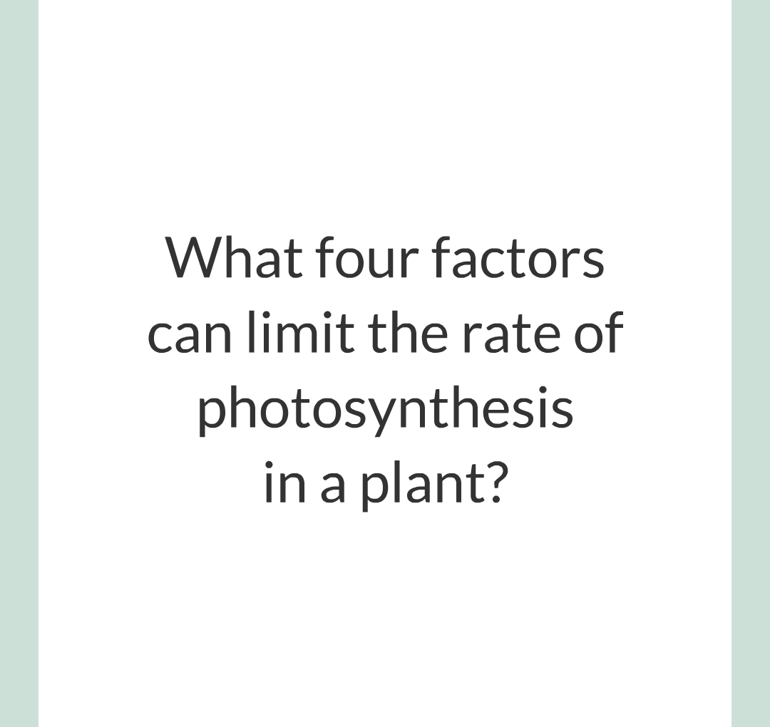 ../../../Biology/Biology Flashcards/0610 MC Questions from Key Cards/3 - Bioenergetics/2 - Rate of Photosynthesis/001.png