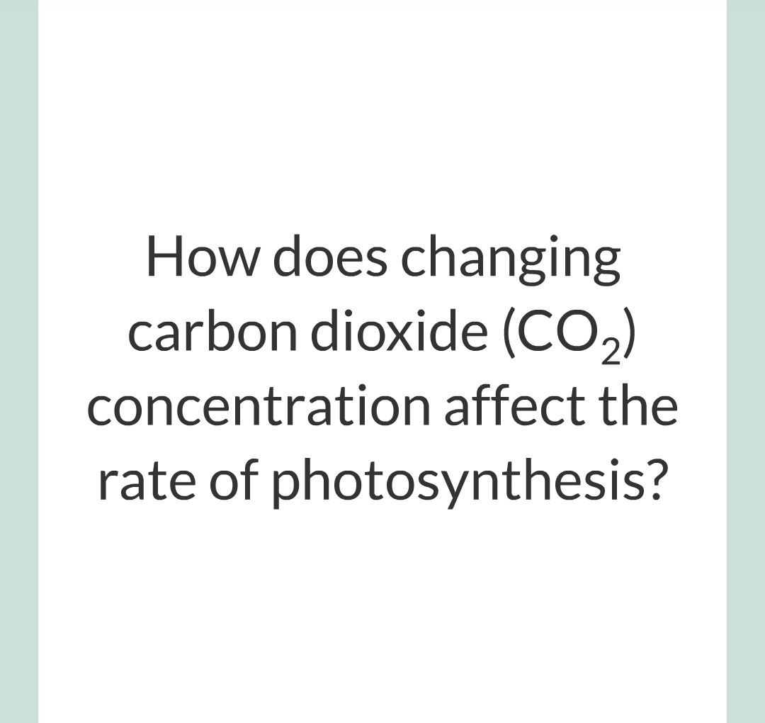 ../../../Biology/Biology Flashcards/0610 MC Questions from Key Cards/3 - Bioenergetics/2 - Rate of Photosynthesis/007.png