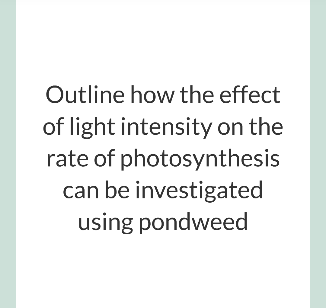 ../../../Biology/Biology Flashcards/0610 MC Questions from Key Cards/3 - Bioenergetics/2 - Rate of Photosynthesis/013.png