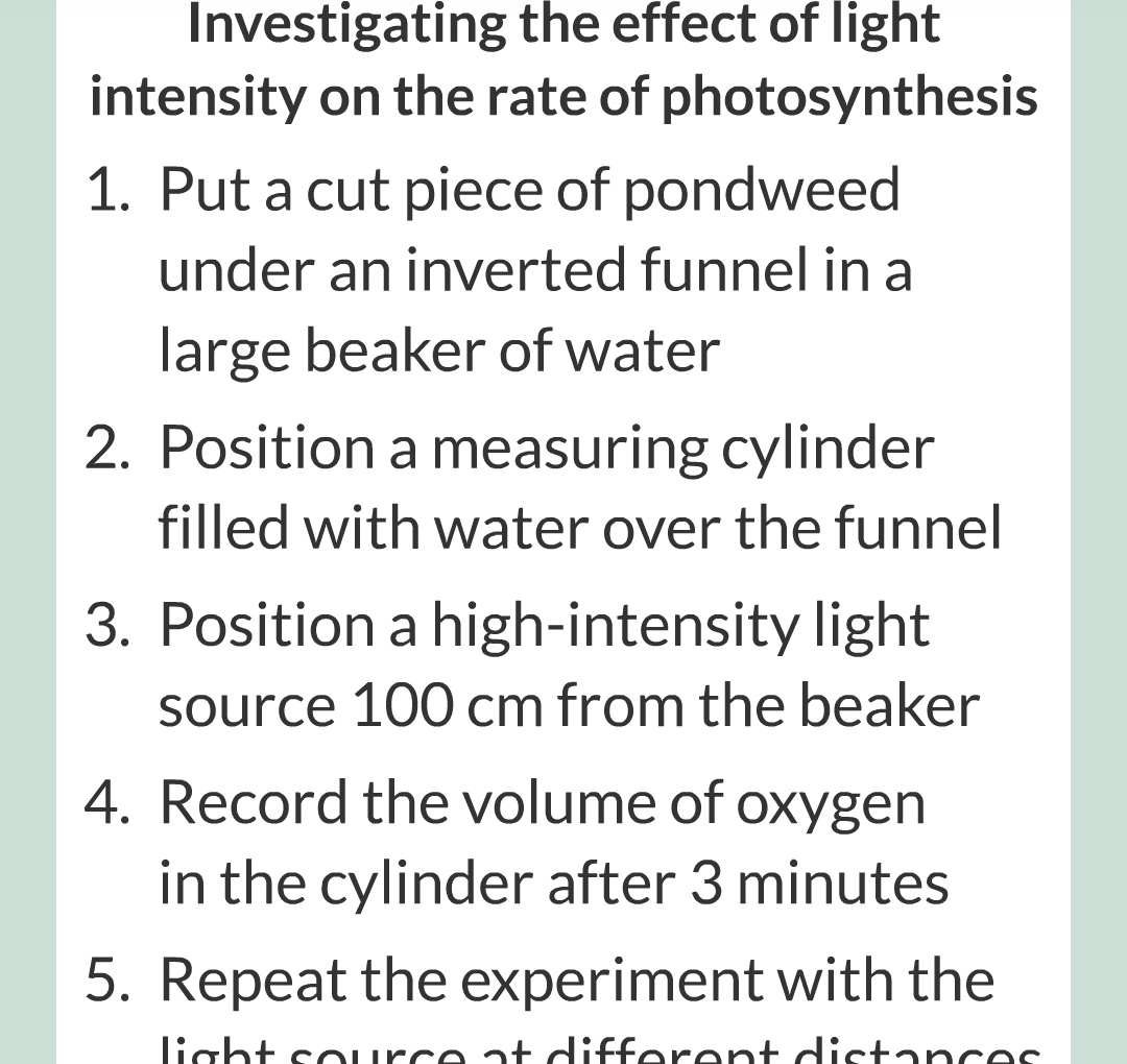 ../../../Biology/Biology Flashcards/0610 MC Questions from Key Cards/3 - Bioenergetics/2 - Rate of Photosynthesis/016.png