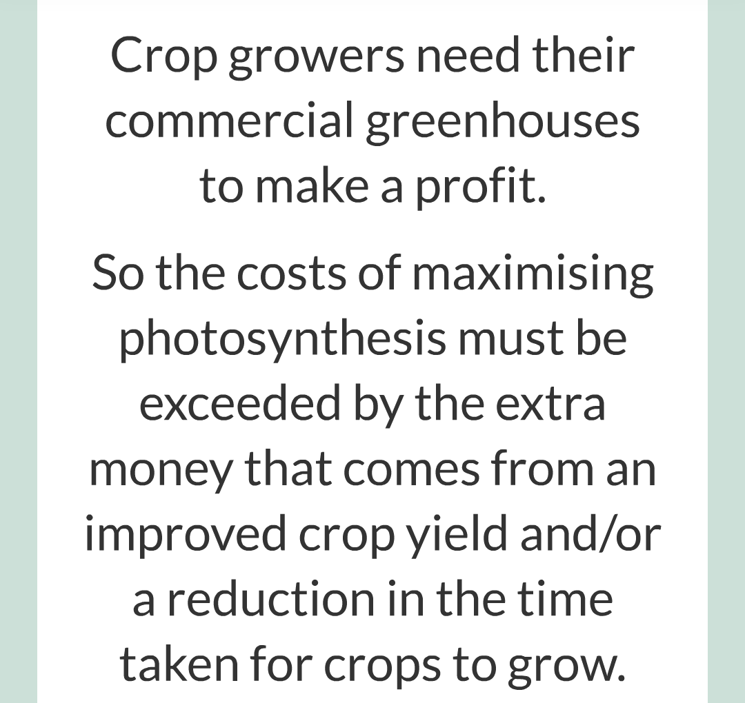 ../../../Biology/Biology Flashcards/0610 MC Questions from Key Cards/3 - Bioenergetics/2 - Rate of Photosynthesis/022.png