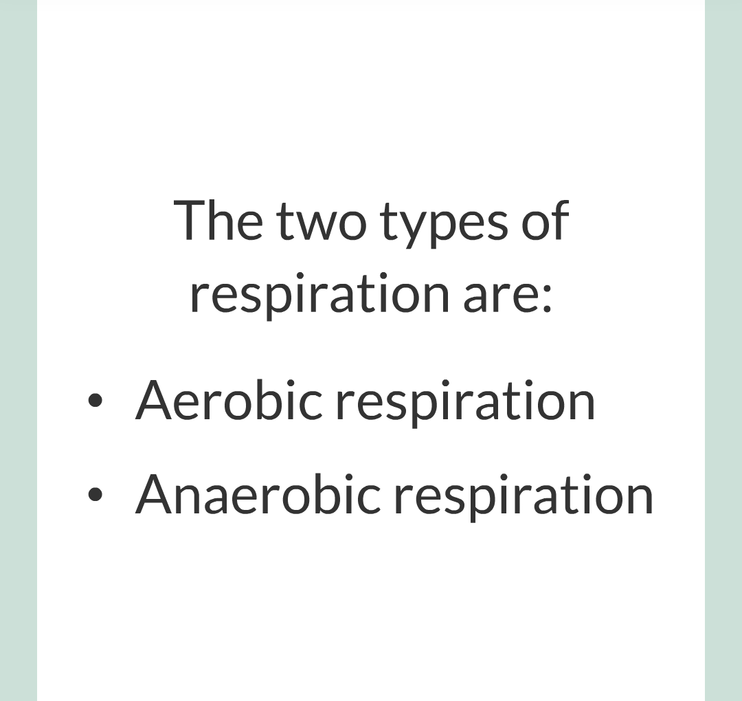../../../Biology/Biology Flashcards/0610 MC Questions from Key Cards/3 - Bioenergetics/3 - Respiration/010.png