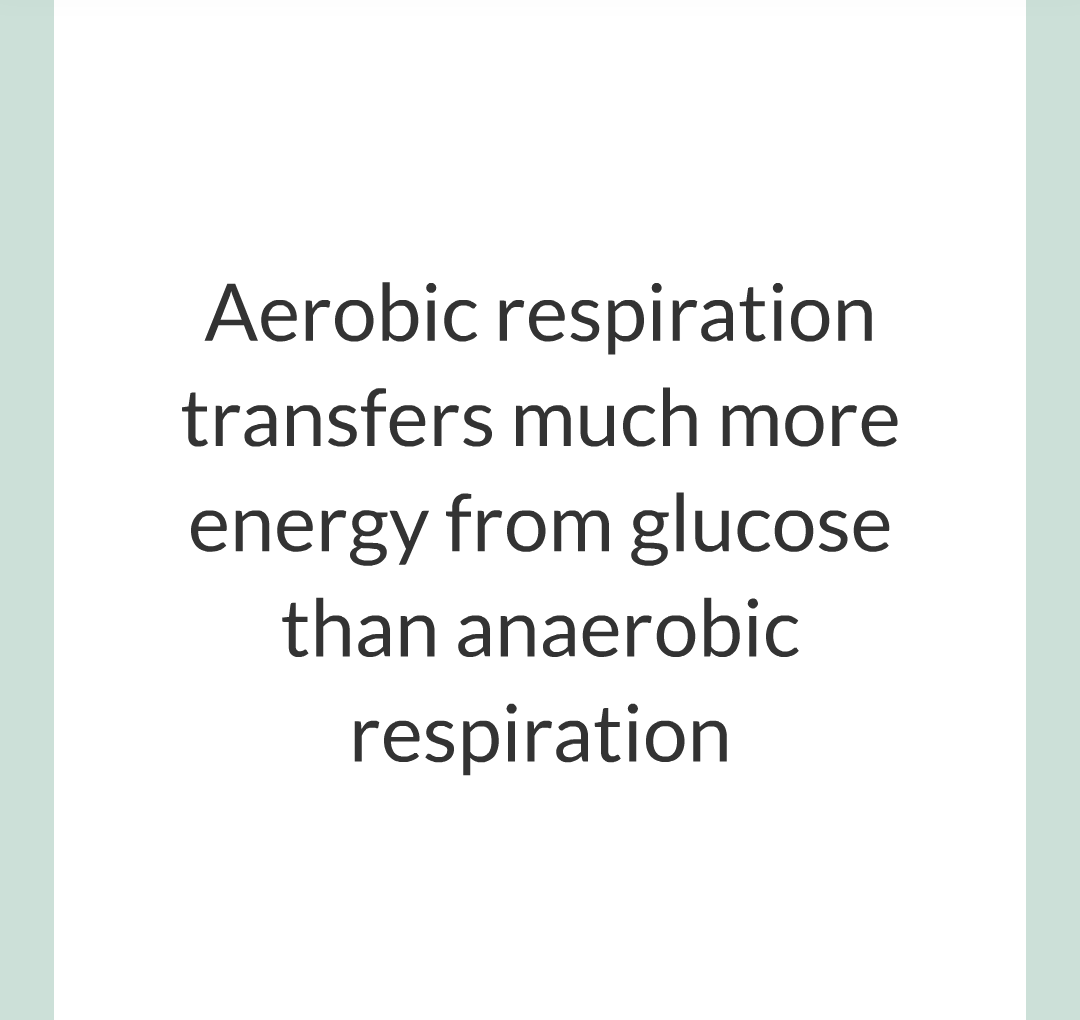 ../../../Biology/Biology Flashcards/0610 MC Questions from Key Cards/3 - Bioenergetics/3 - Respiration/022.png
