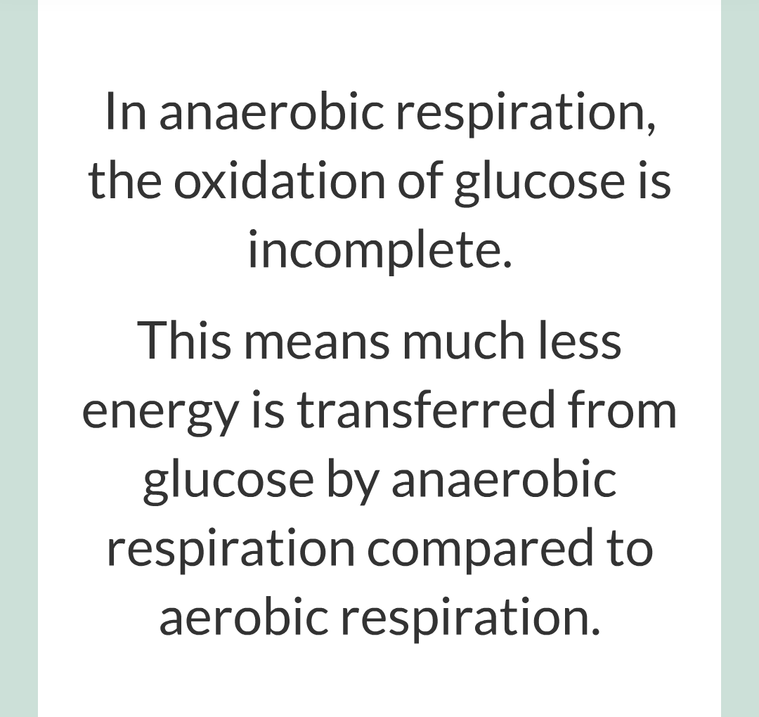 ../../../Biology/Biology Flashcards/0610 MC Questions from Key Cards/3 - Bioenergetics/3 - Respiration/024.png