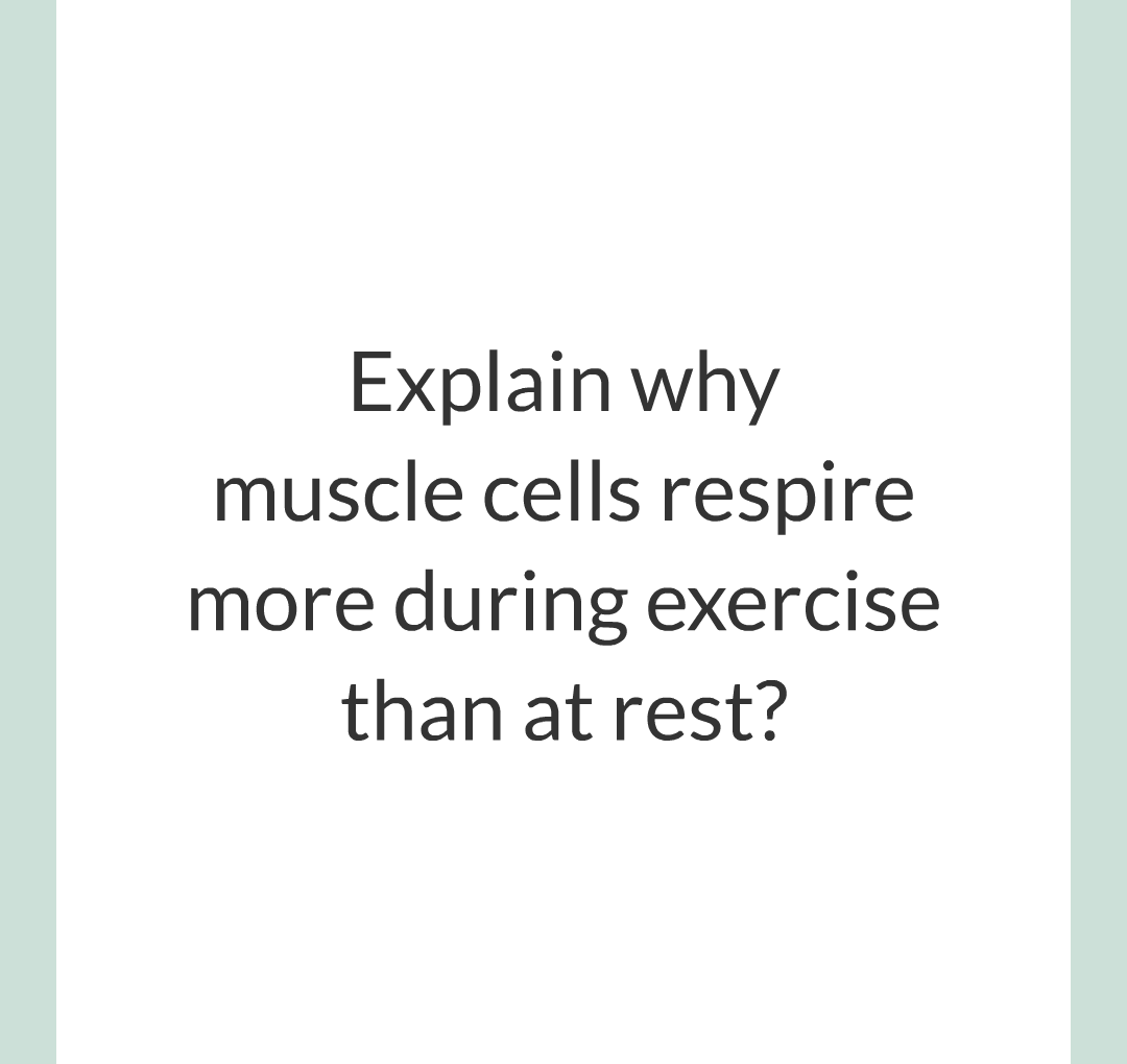 ../../../Biology/Biology Flashcards/0610 MC Questions from Key Cards/3 - Bioenergetics/4 - Responses to Exercise/001.png