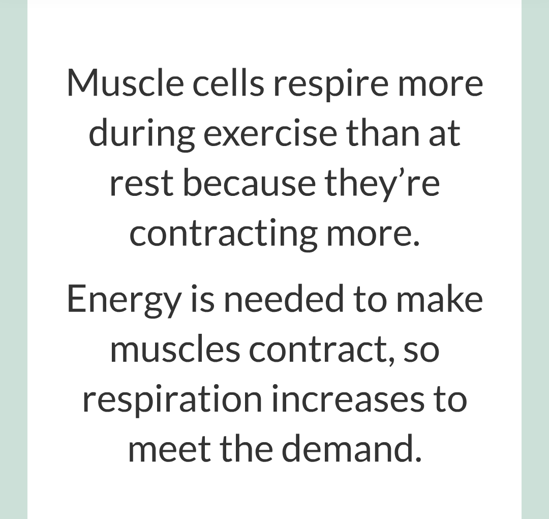 ../../../Biology/Biology Flashcards/0610 MC Questions from Key Cards/3 - Bioenergetics/4 - Responses to Exercise/002.png