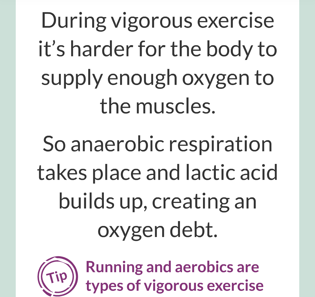 ../../../Biology/Biology Flashcards/0610 MC Questions from Key Cards/3 - Bioenergetics/4 - Responses to Exercise/008.png
