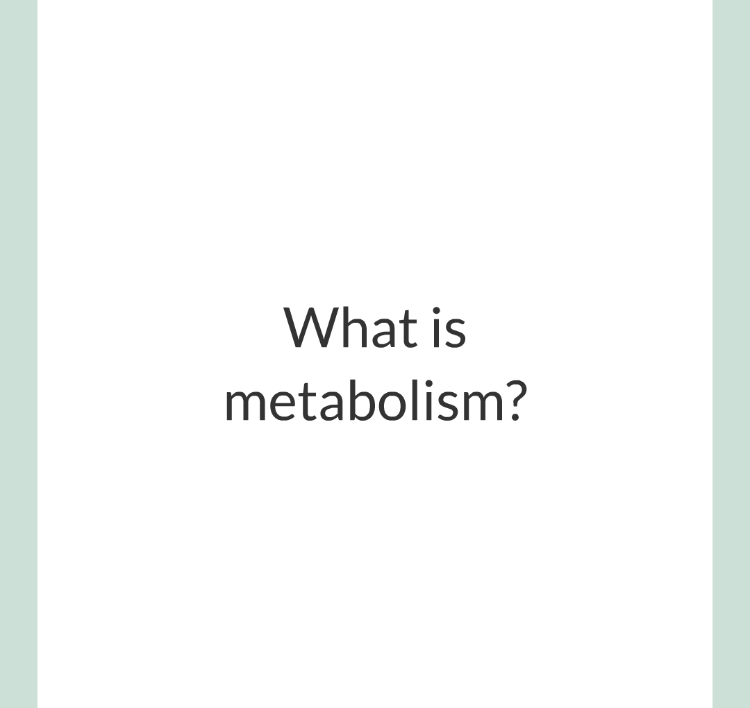 ../../../Biology/Biology Flashcards/0610 MC Questions from Key Cards/3 - Bioenergetics/5 - Metabolism/001.png