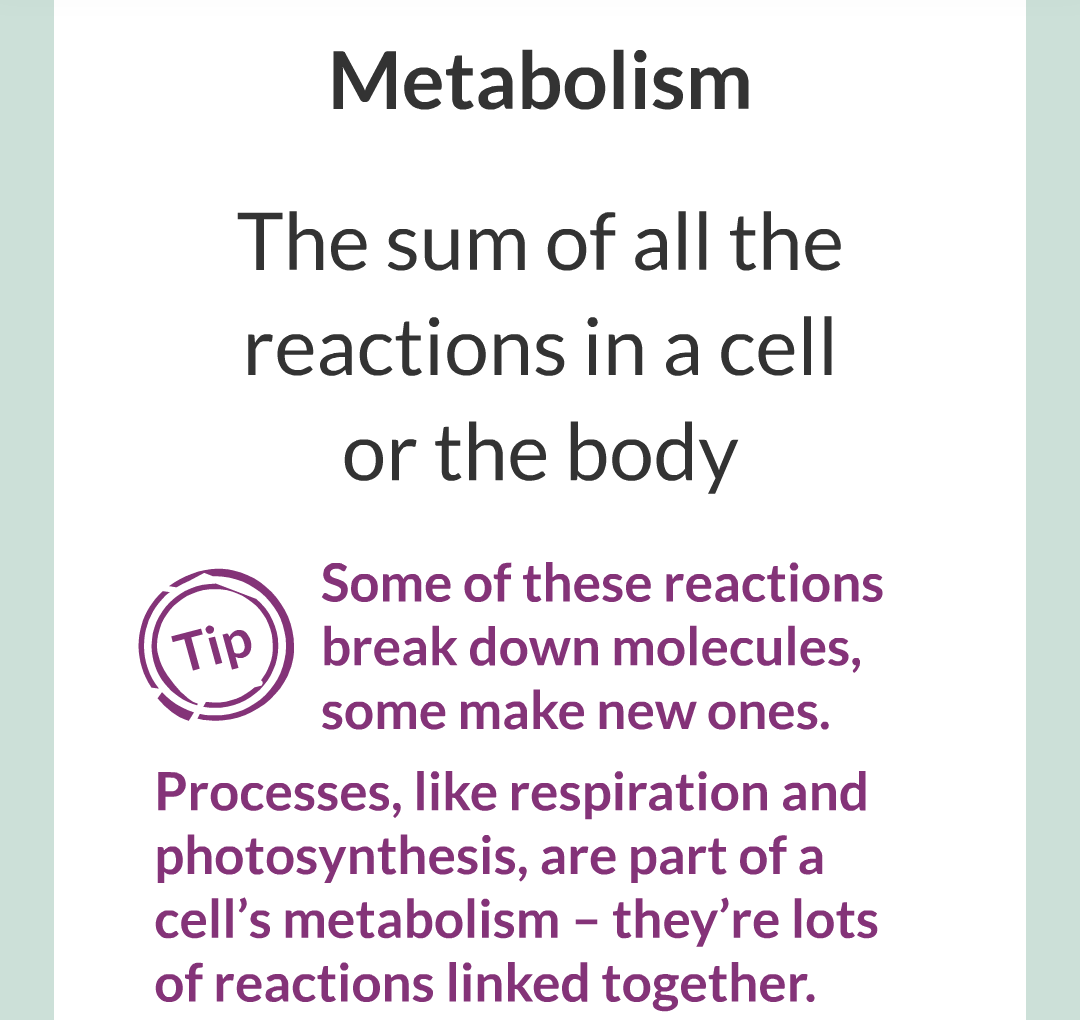 ../../../Biology/Biology Flashcards/0610 MC Questions from Key Cards/3 - Bioenergetics/5 - Metabolism/002.png