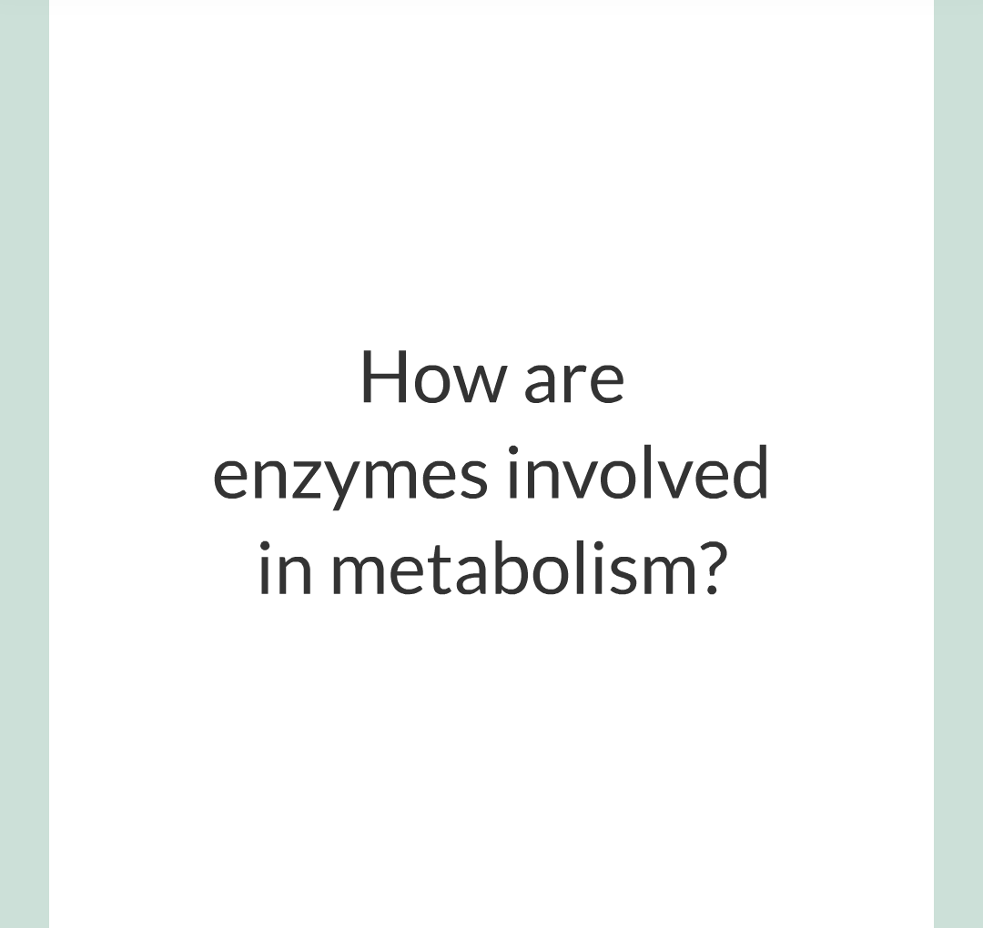 ../../../Biology/Biology Flashcards/0610 MC Questions from Key Cards/3 - Bioenergetics/5 - Metabolism/003.png