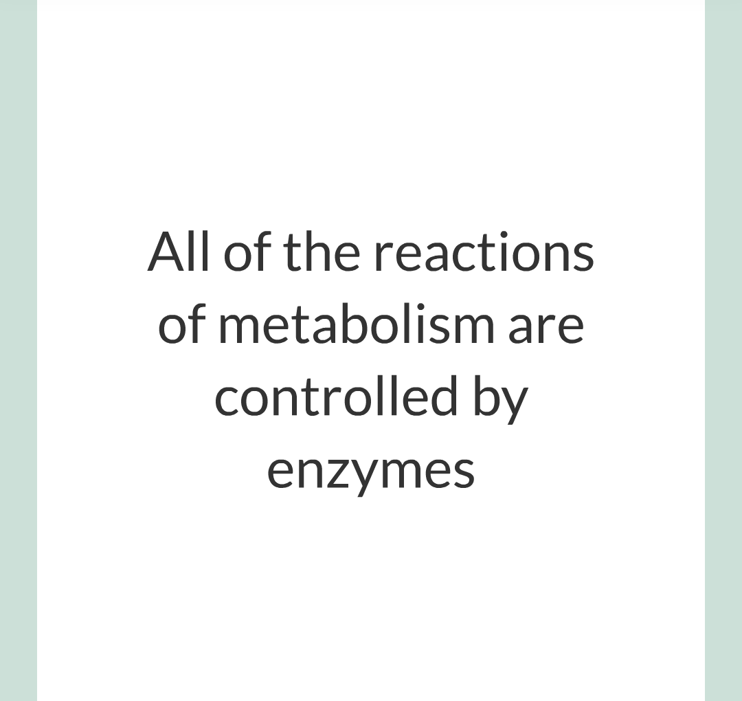 ../../../Biology/Biology Flashcards/0610 MC Questions from Key Cards/3 - Bioenergetics/5 - Metabolism/004.png
