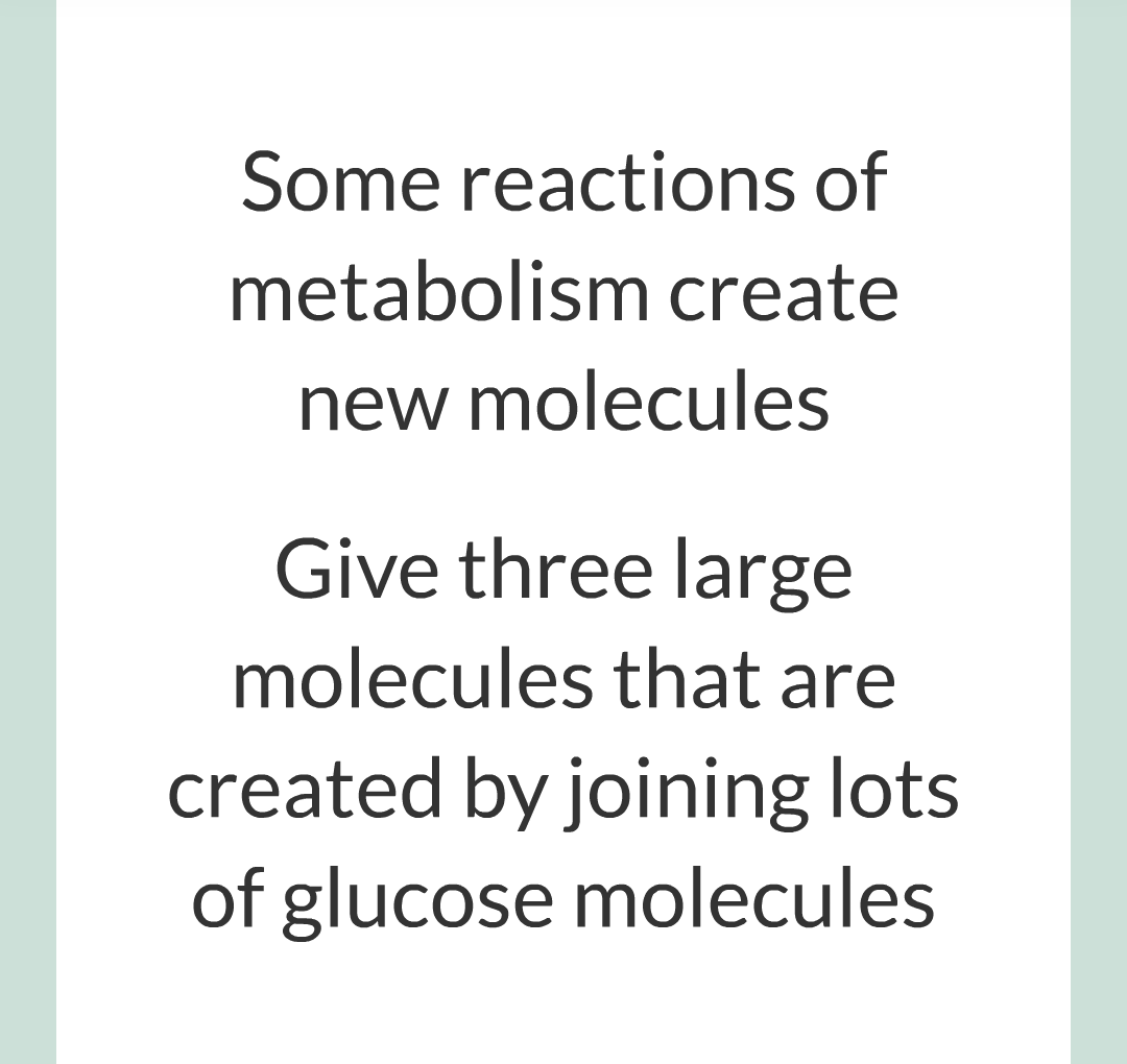 ../../../Biology/Biology Flashcards/0610 MC Questions from Key Cards/3 - Bioenergetics/5 - Metabolism/005.png