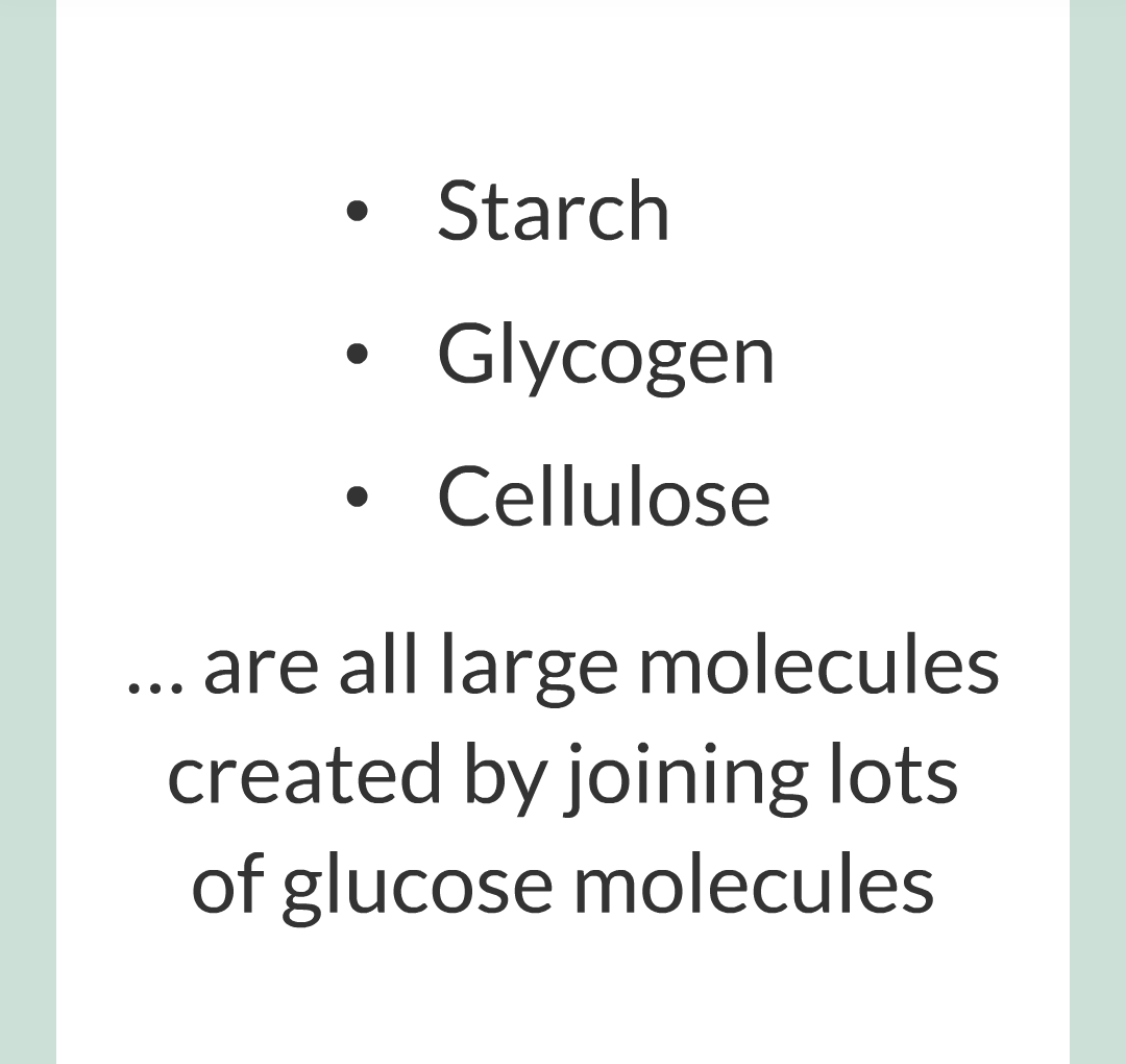 ../../../Biology/Biology Flashcards/0610 MC Questions from Key Cards/3 - Bioenergetics/5 - Metabolism/006.png