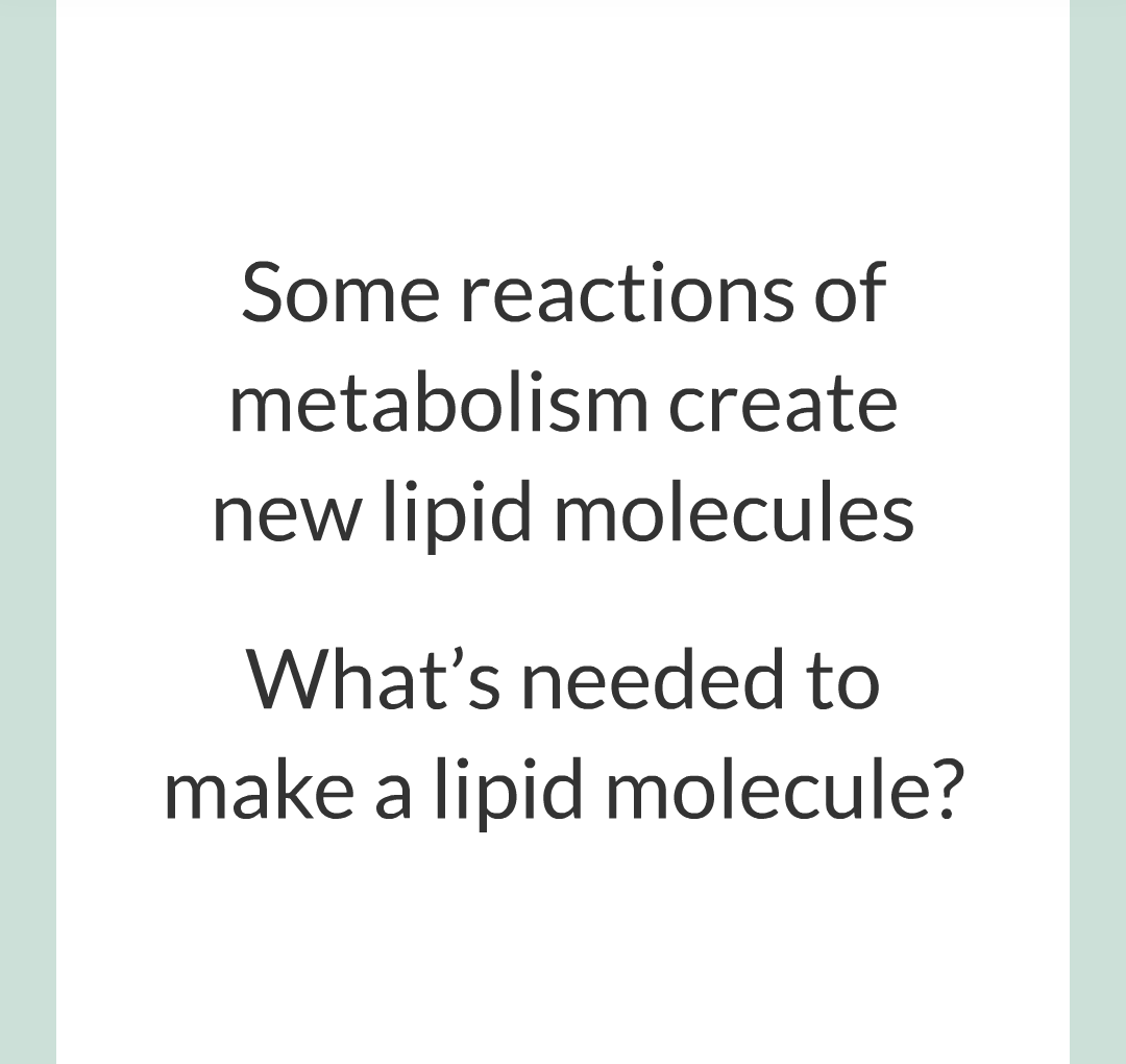 ../../../Biology/Biology Flashcards/0610 MC Questions from Key Cards/3 - Bioenergetics/5 - Metabolism/007.png