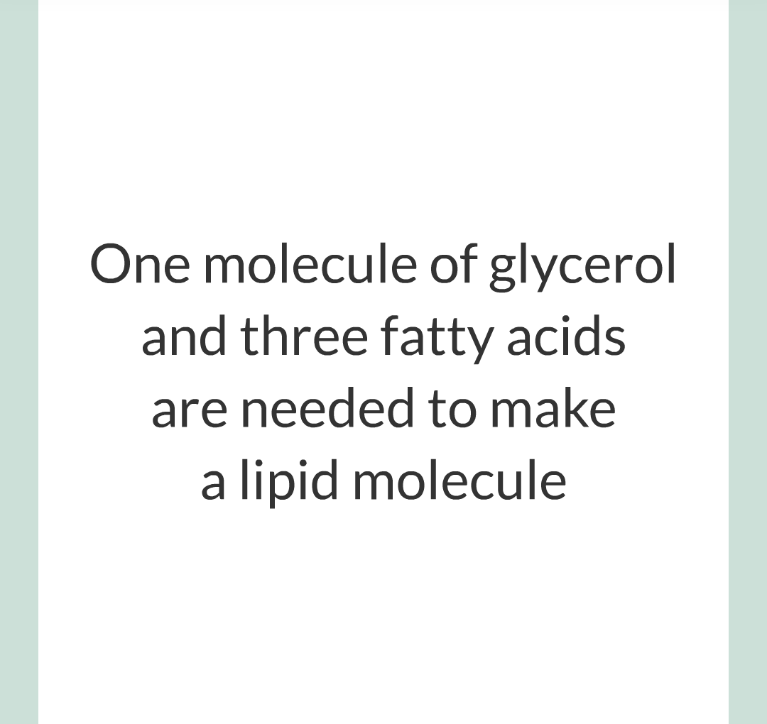 ../../../Biology/Biology Flashcards/0610 MC Questions from Key Cards/3 - Bioenergetics/5 - Metabolism/008.png