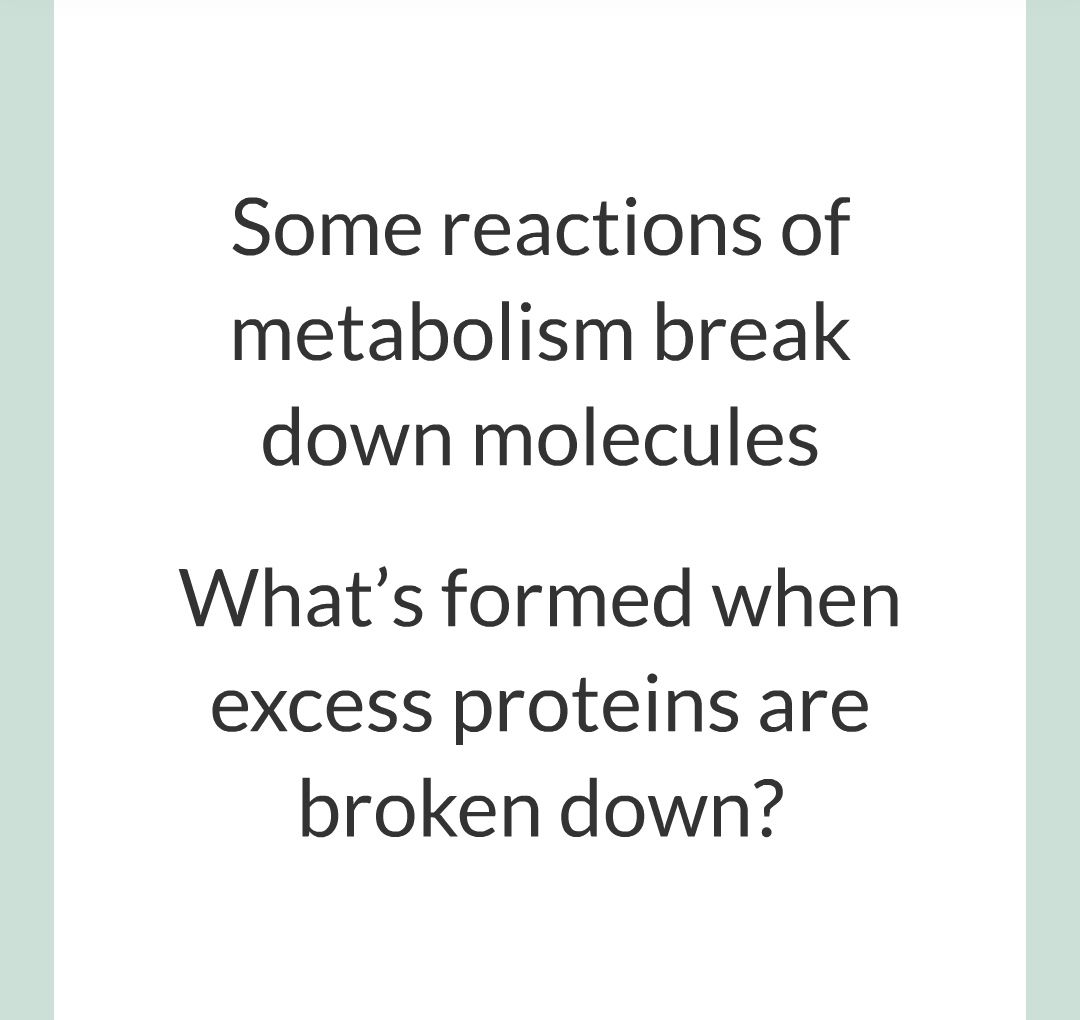../../../Biology/Biology Flashcards/0610 MC Questions from Key Cards/3 - Bioenergetics/5 - Metabolism/011.png