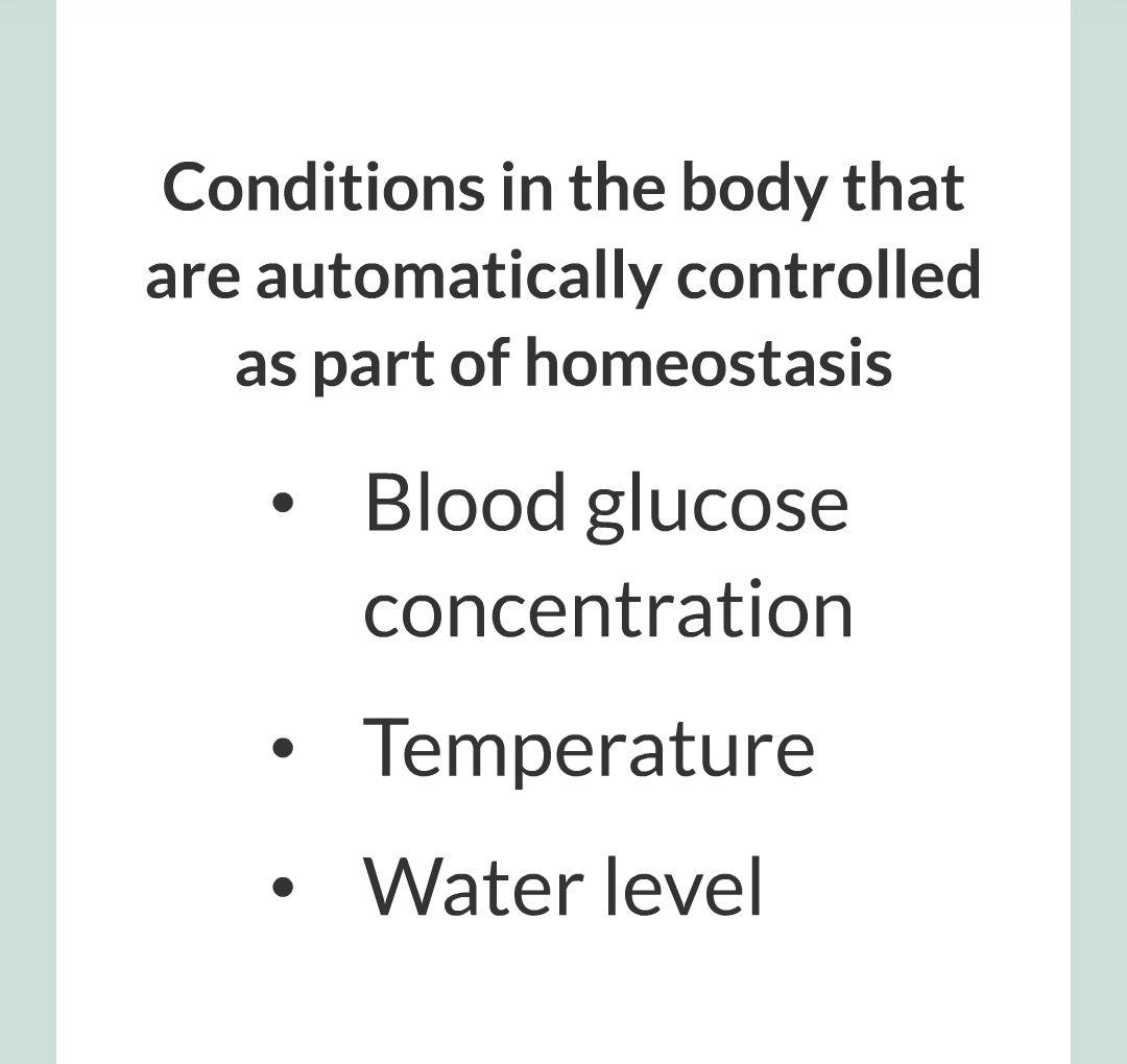 1 - Homeostasis/006.png