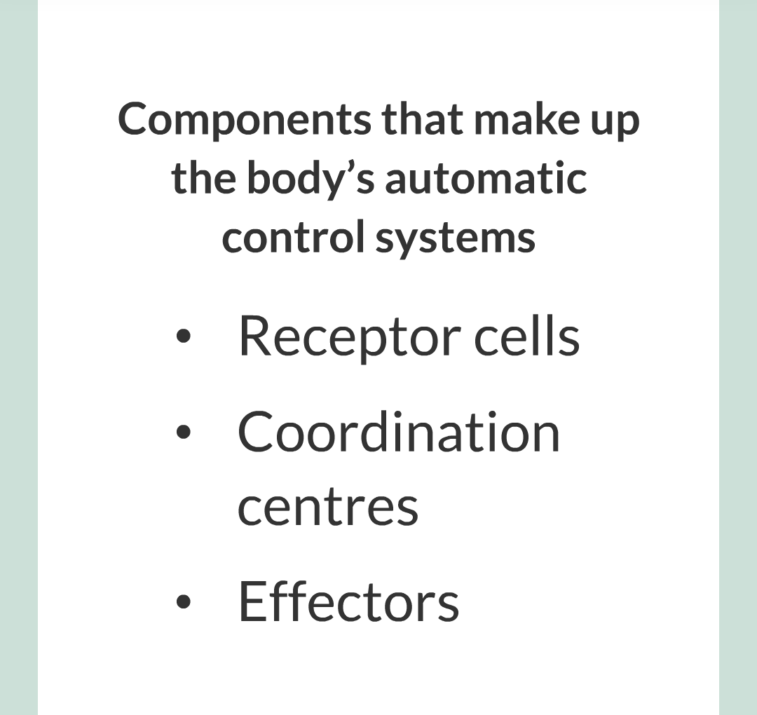 1 - Homeostasis/008.png