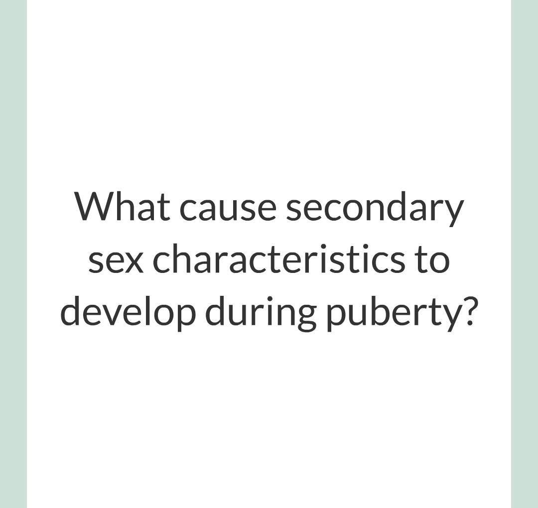 11 - Hormones and The Menstrual Cycle/001.png