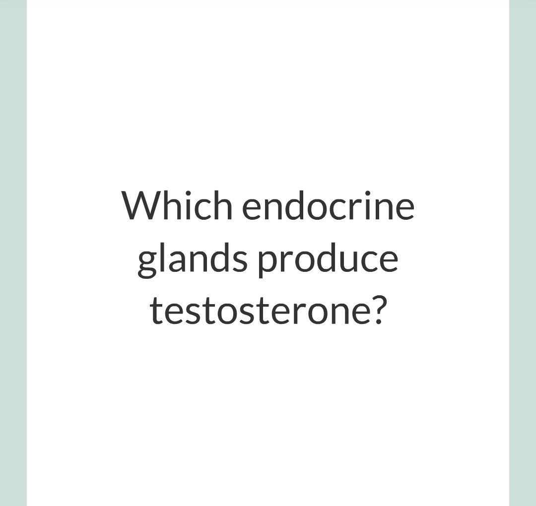 11 - Hormones and The Menstrual Cycle/005.png