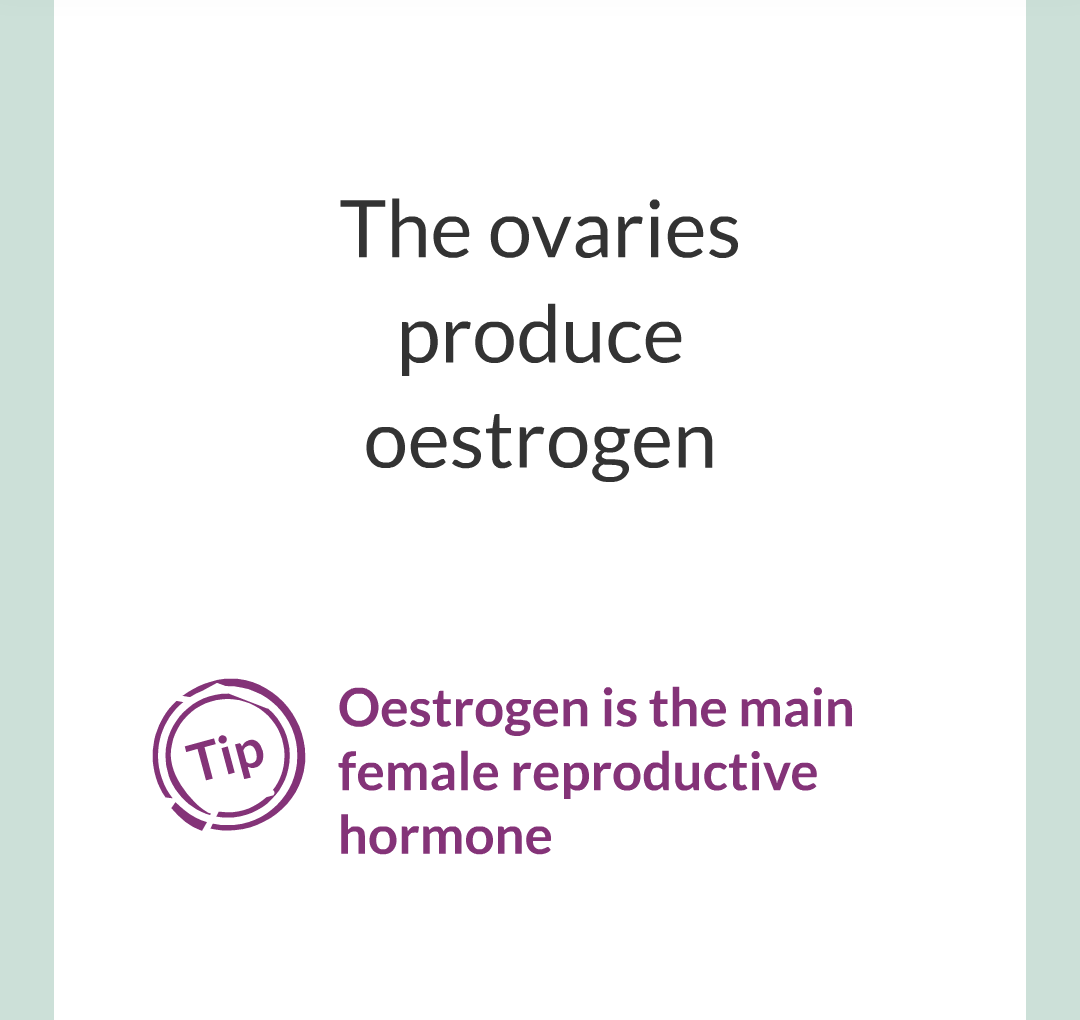 11 - Hormones and The Menstrual Cycle/008.png
