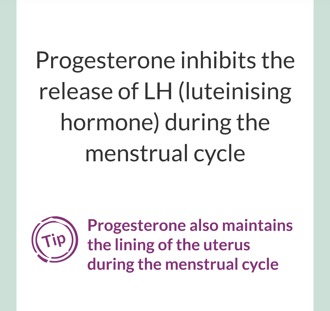 11 - Hormones and The Menstrual Cycle/022.png