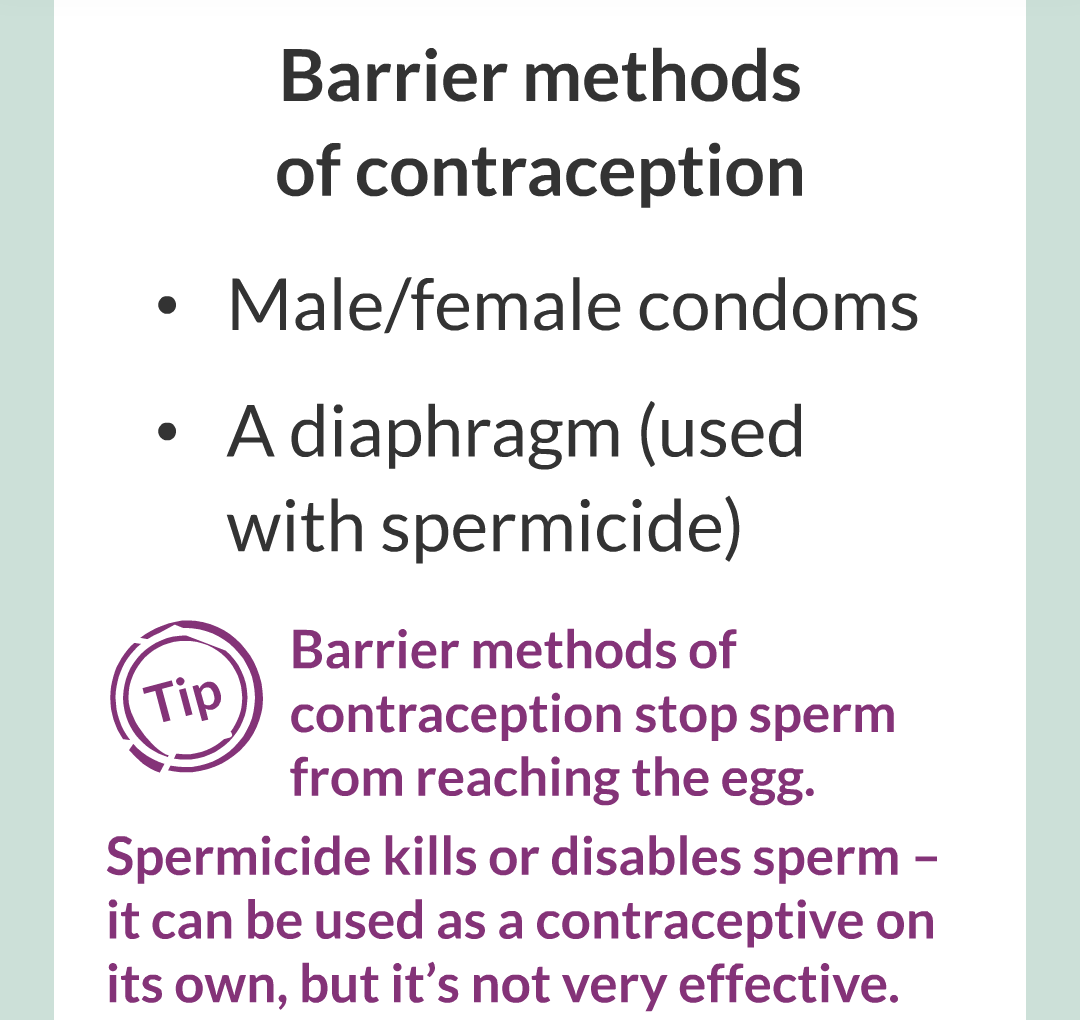 12 - Controlling Fertility/002.png