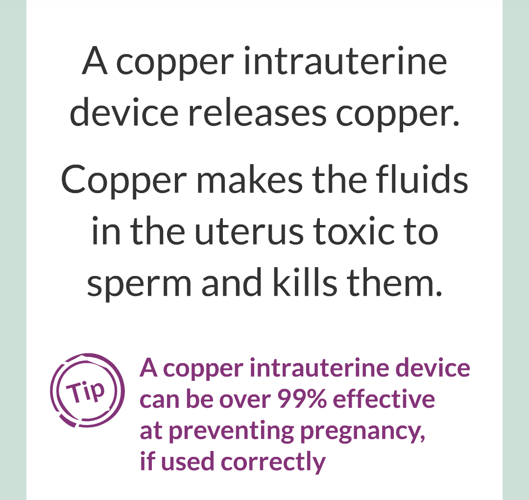 12 - Controlling Fertility/012.png