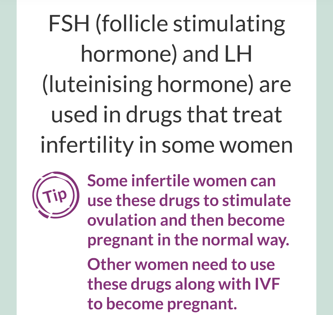 12 - Controlling Fertility/018.png