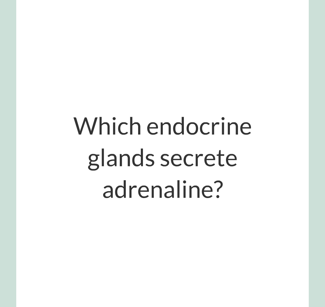 13 - Adrenaline and Thyroxine/001.png