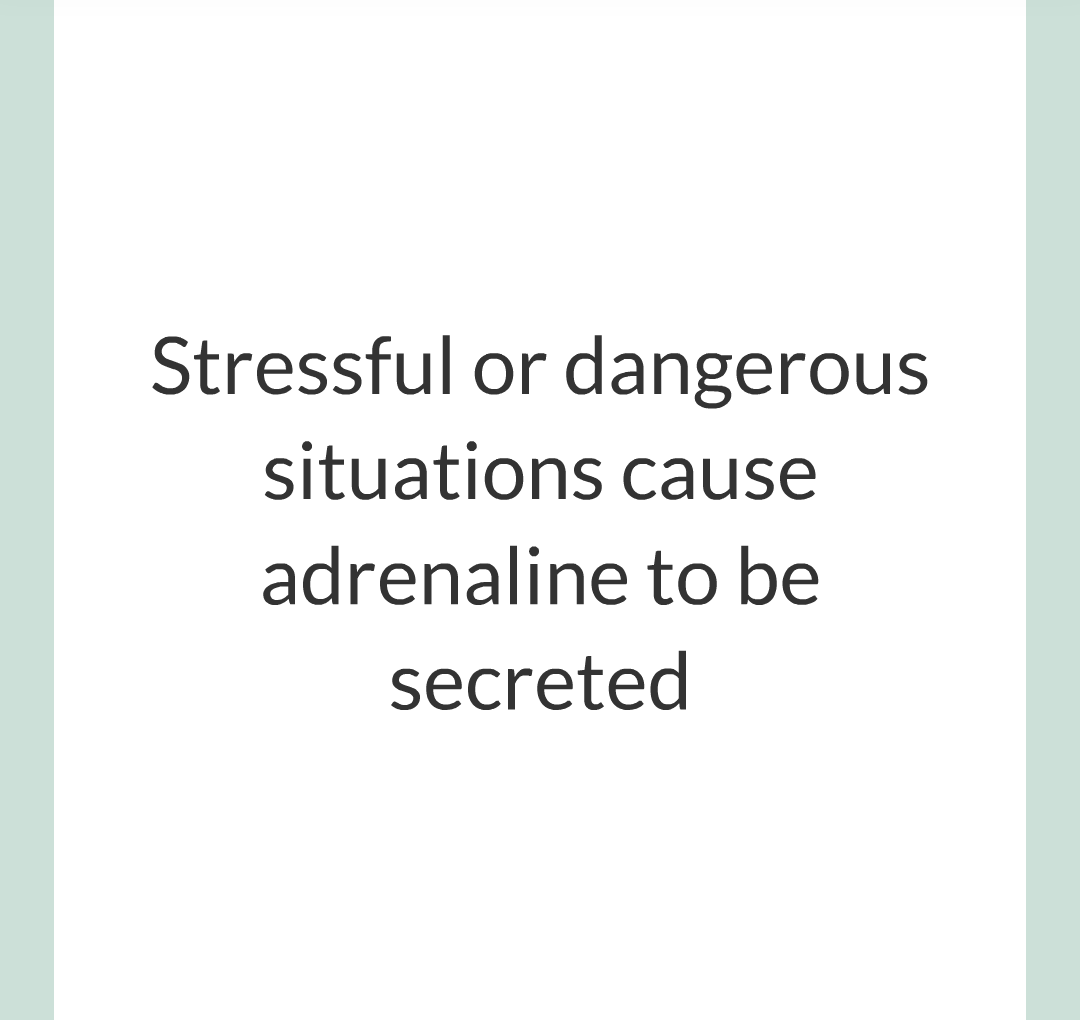 13 - Adrenaline and Thyroxine/004.png