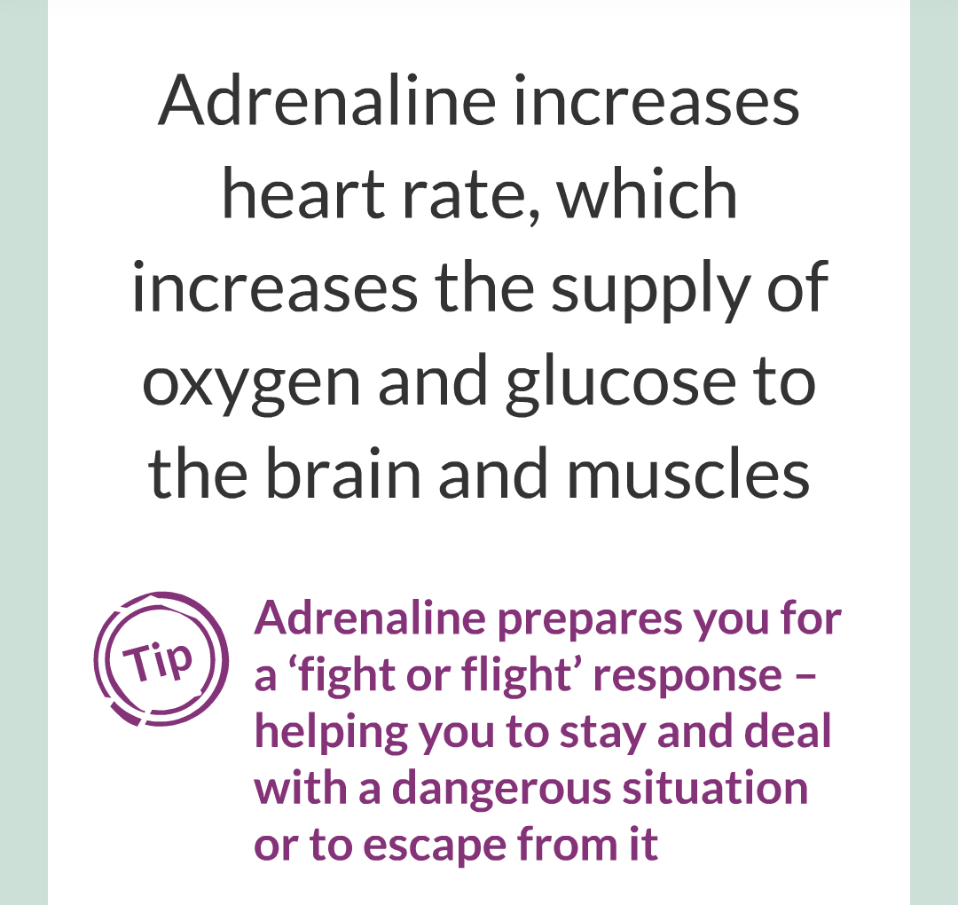 13 - Adrenaline and Thyroxine/006.png