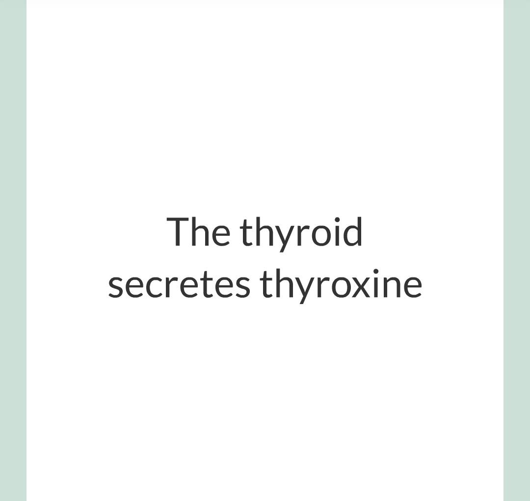 13 - Adrenaline and Thyroxine/008.png
