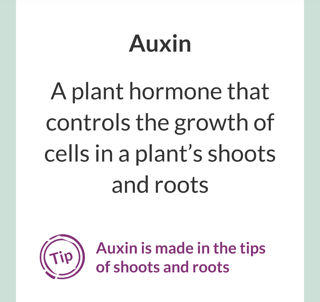 14 - Plant Hormones/002.png