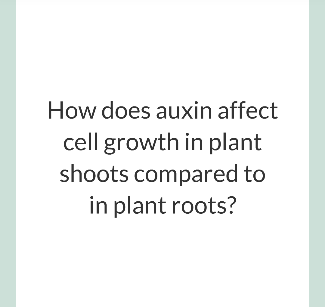 14 - Plant Hormones/003.png