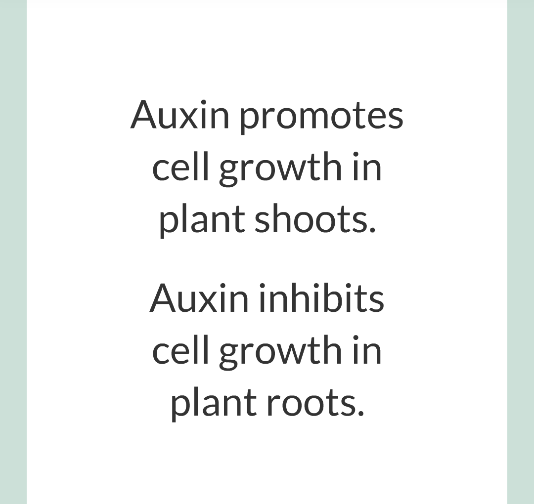 14 - Plant Hormones/004.png