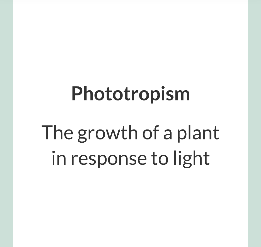 14 - Plant Hormones/006.png
