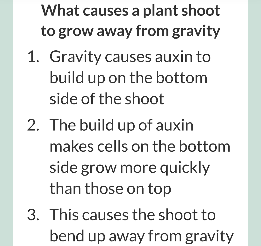 14 - Plant Hormones/012.png